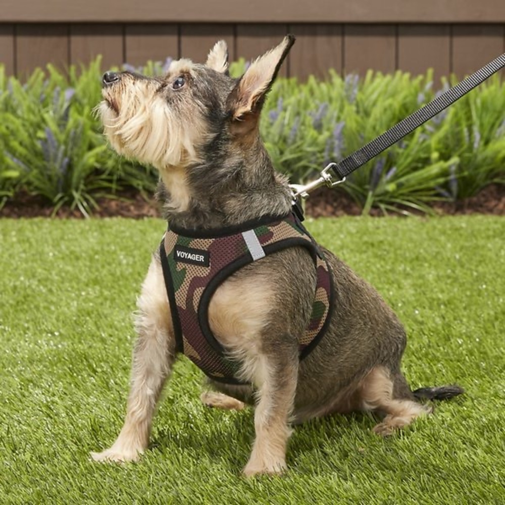 Voyager Dog Harness, Camouflage